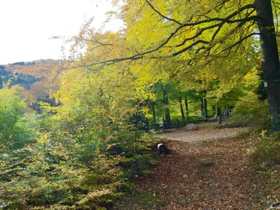Paysage naturel près de l'appartement