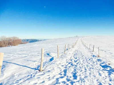 L'établissement Gîte Léonline sur les hauteurs de Masevaux -au pied des Vosges en hiver