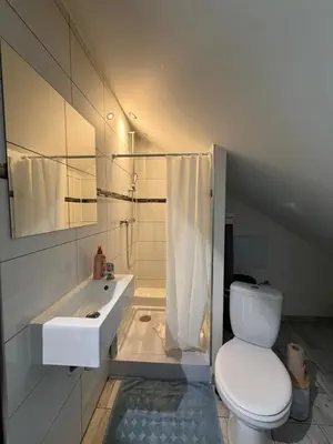 Salle de bains dans l'établissement Le 5 - Beau Studio rénové, tout équipé, au calme, Mulhouse centre - stationnement gratuit