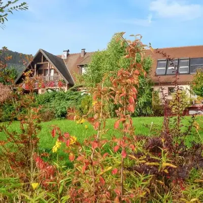 Appartement charmant à Thannenkirch avec vue montagne
