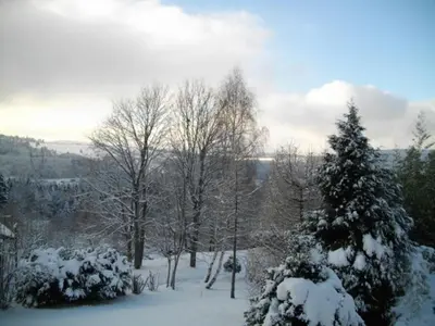 L'établissement Chalet de Montagne Chaleureux avec Cheminée, Terrasse et Proche Ski - FR-1-589-2 en hiver