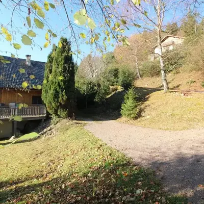 Chalet 3 étoiles avec sauna près de La Bresse - FR-1-589-18