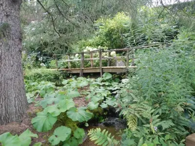 Jardin de l'établissement Gîte nature, 15 km de Gérardmer, randonnée, ski, jardin, terrasse, BBQ, équipements bébé inclus - FR-1-589-64