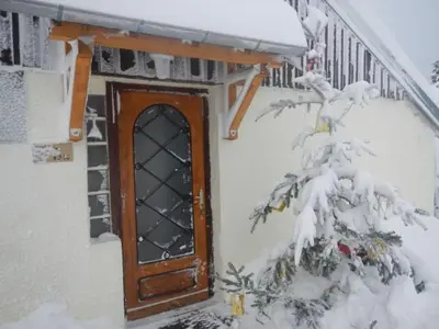 L'établissement Gîte nature, 15 km de Gérardmer, randonnée, ski, jardin, terrasse, BBQ, équipements bébé inclus - FR-1-589-64 en hiver