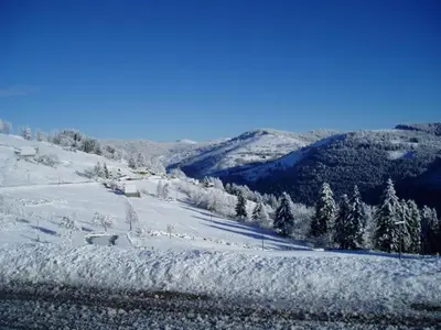 L'établissement Charmant chalet de montagne avec terrasse et vue imprenable - FR-1-589-72 en hiver