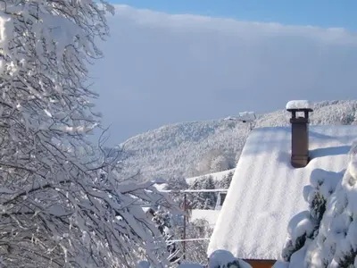 Plan de l'établissement Chalet confortable à Cleurie avec WIFI, cheminée et terrasse - FR-1-589-71