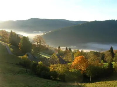 Paysage naturel près de l'appartement