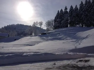 Plan de l'établissement Chalet tout confort avec piscine, terrasse, et sauna privé en montagne - FR-1-589-101