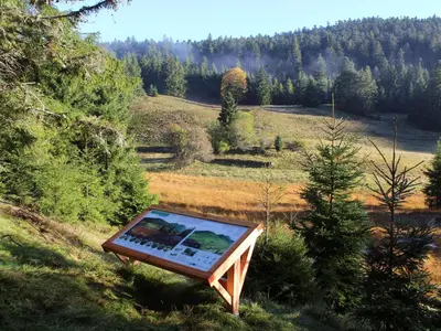 Paysage naturel près de la maison de vacances