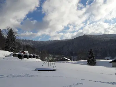 L'établissement Gîte à Gérardmer - Proche lac et pistes, Chem cheminée, 2 chambres - FR-1-589-108 en hiver