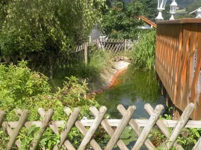 Jardin de l'établissement Chalet Montagne avec Spa, Sauna & Proche Pistes - Gérardmer - FR-1-589-114