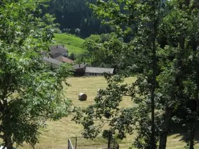 Paysage naturel près de la maison de vacances