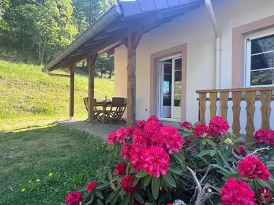 Jardin de l'établissement Chalet spacieux avec balcon, WiFi gratuit, proche lac et station de ski - FR-1-589-140