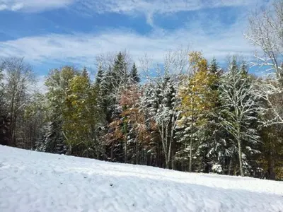 Plan de l'établissement Gîte Confortable en Pleine Forêt avec Étang, Idéal pour Familles et Amis - FR-1-589-154