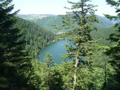 Paysage naturel près de la maison de vacances