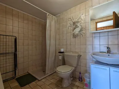 Salle de bains dans l'établissement Gîte cosy à La Bresse - Proche sentiers, rivière et piste cyclable, idéal pour randonnées et séjours en famille - FR-1-589-168