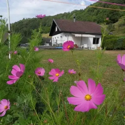 Gîte cosy à La Bresse - Proche sentiers