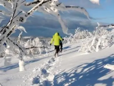 L'établissement Gîte chaleureux à La Bresse avec terrasse, barbecue et proche des pistes de ski - FR-1-589-189 en hiver