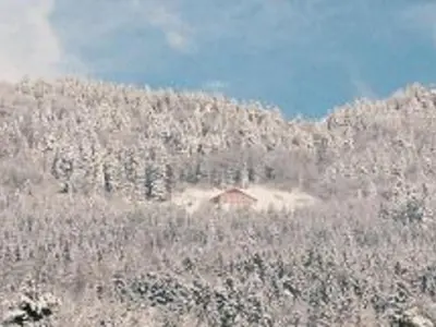 Paysage naturel près de la maison de vacances