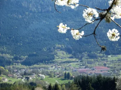 Paysage naturel près de la maison de vacances