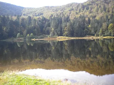 Paysage naturel près de la maison de vacances