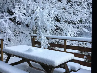 L'établissement Chalet cosy proche de Gérardmer et Colmar - Nature, WIFI, 2 chambres, terrasse, garage - FR-1-589-306 en hiver