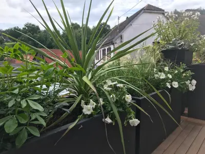 Jardin de l'établissement Au petit randonneur