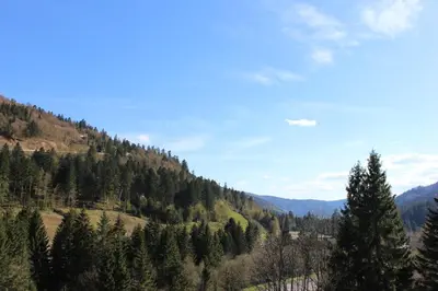 Paysage naturel près de l'appartement