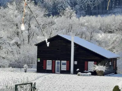 L'établissement Chalet familial avec grand jardin et équipements pour enfants, à 500m du centre de Ban-sur-Meurthe - FR-1-589-33 en hiver