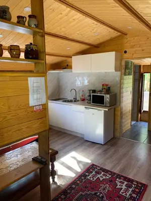 Cuisine ou kitchenette dans l'établissement Chalet rustique, 3pièces, jusqu'à 6 personnes
