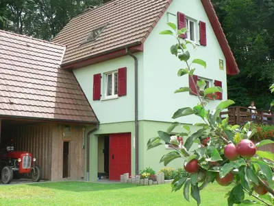 Jardin de l'établissement Gite de la Lisière du Bois