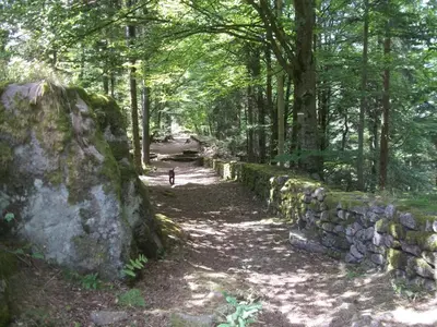 Paysage naturel près de le camping