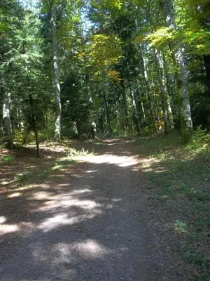 Paysage naturel près de le camping