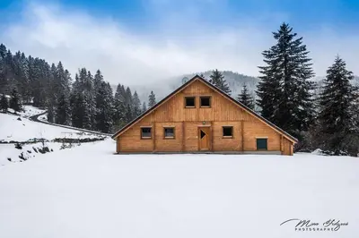 L'établissement Chalet Charligustine - Gérardmer - 8p (4 étoiles) en hiver
