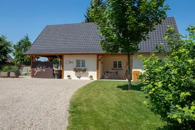 Jardin de l'établissement Gîte Cosy L'Ecrin du Ried PROCHE EUROPA-PARK