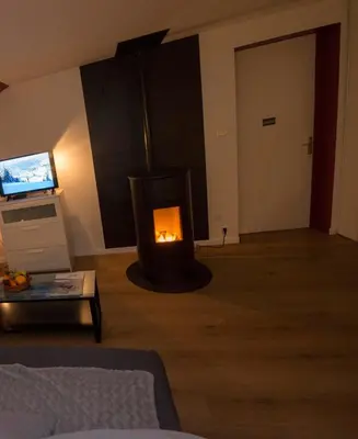Télévision ou salle de divertissement dans l'établissement Le Cocon du Village Gérardmer