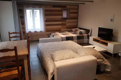 Télévision ou salle de divertissement dans l'établissement Joli petit studio les brimbelles
