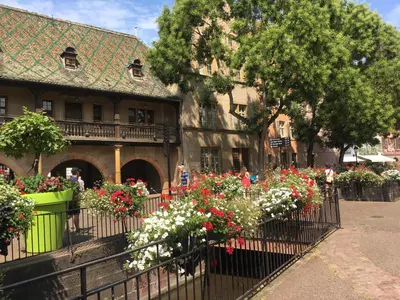 Jardin de l'établissement Centre historique Colmar La COLLÉGIALE RESORT