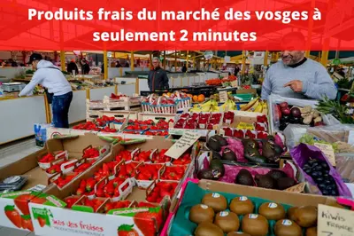 Supermarché ou boutique de l'appartement ou à proximité