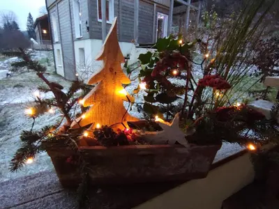 Jardin de l'établissement chalet des pierres opalines