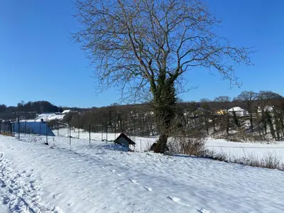 L'établissement L'ECURIE du Château en hiver