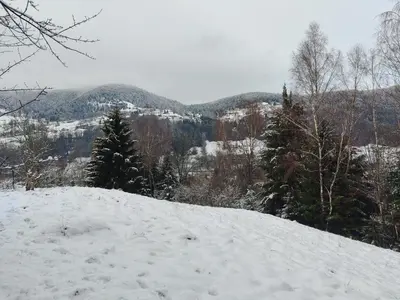 L'établissement Chalet Meuselotte, à Bussang dans les Vosges en hiver