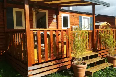 Jardin de l'établissement Mobil-Home 6 personnes à Munster en Alsace