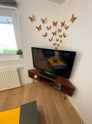 Télévision ou salle de divertissement dans l'établissement DUPLEX Le 12 - Appartement avec terrasse dans le vignoble - 5 mn du centre de Colmar