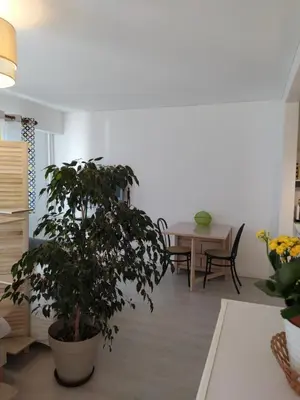 Plan de l'établissement Grand studio, super équipé, 2 pas du centre-ville 