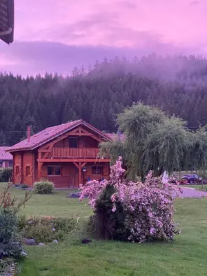 Paysage naturel près de le chalet