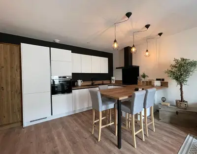 Cuisine ou kitchenette dans l'établissement Appartement tout confort haut de gamme en plein centre ville