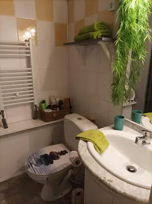 Salle de bains dans l'établissement Le cocon de Sausheim