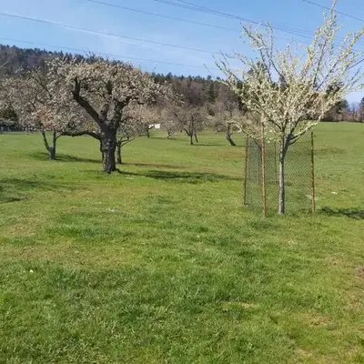 La maison dans les prés