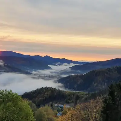 The View Fellering